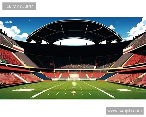 法国退役足球球星的传奇之路与光辉岁月解析